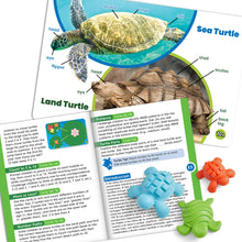 Load image into Gallery viewer, Tactile Turtles Math Activity Set
