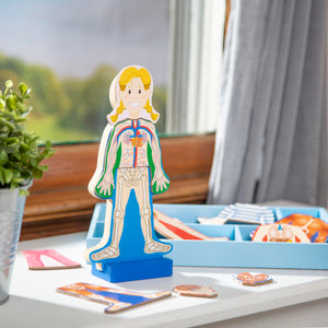 Melissa & Doug Magnetic Human Body Anatomy Play Set