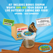 Load image into Gallery viewer, Butterfly Growing Kit - Live Caterpillar to Butterfly Project for Kids
