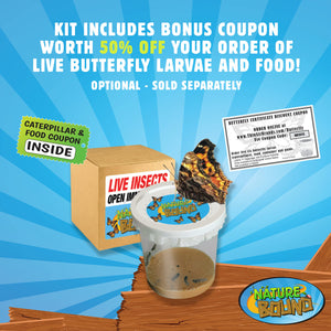 Butterfly Growing Kit - Live Caterpillar to Butterfly Project for Kids