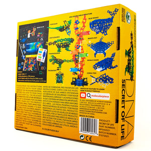 Molecularpiece 4D STEM Toy