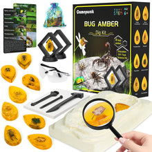 Load image into Gallery viewer, Amber Dig Kit for Kids
