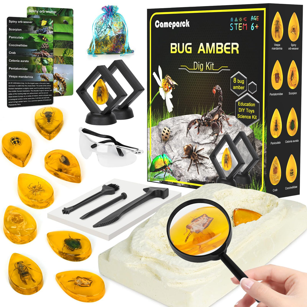 Amber Dig Kit for Kids