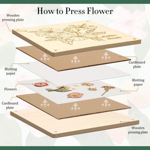 Extra Large Flower Press Kit