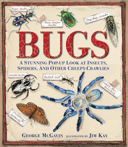 Bugs: A Stunning Pop-up Look at Insects, Spiders, and Other Creepy-Crawlies