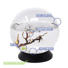 Load image into Gallery viewer, EcoSphere Closed Ecosystem
