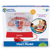 Load image into Gallery viewer, Explore the Human Heart and Lungs with Learning Resources Anatomy Set
