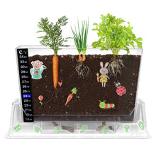 Load image into Gallery viewer, Root Viewer Gardening Kit
