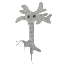 Load image into Gallery viewer, GIANT MICROBES Brain Cell Plush
