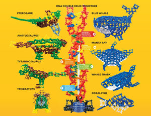 Molecularpiece 4D STEM Toy