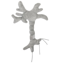 Load image into Gallery viewer, GIANT MICROBES Brain Cell Plush
