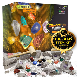 Gemstone Discovery Kit