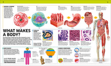 Load image into Gallery viewer, Explore the Human Body with DK&#39;s Knowledge Encyclopedia!
