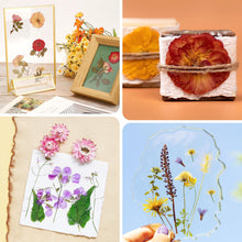 Load image into Gallery viewer, Extra Large Flower Press Kit
