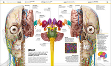 Load image into Gallery viewer, Explore the Human Body with DK&#39;s Knowledge Encyclopedia!
