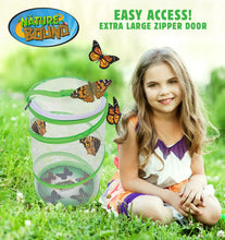 Load image into Gallery viewer, Butterfly Growing Kit - Live Caterpillar to Butterfly Project for Kids
