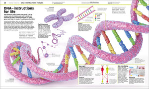 Explore the Human Body with DK's Knowledge Encyclopedia!