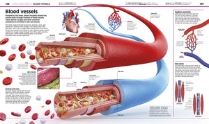 Explore the Human Body with DK's Knowledge Encyclopedia!