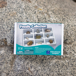 Authentic Fossil Collection Kit