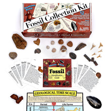 Load image into Gallery viewer, Fossil Collection Kit
