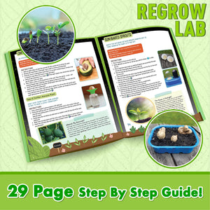 ReGrow Science Kit for Kids